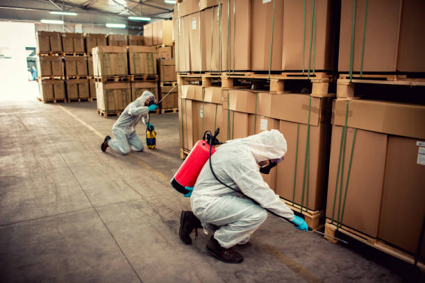 Best Termite Control Services  in Chaffee, MO