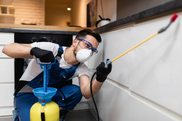 Best Wasp Removal Services  in Chaffee, MO
