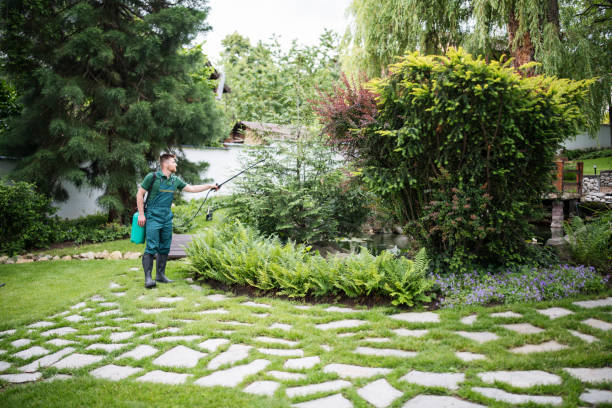 Best Pest Inspection Near Me  in Chaffee, MO