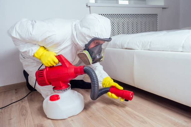 Best Pest Control Near Me in Chaffee, MO