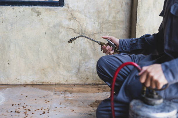 Best Pest Prevention Services  in Chaffee, MO